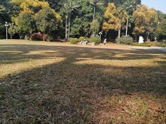 -人民公园(罗湖区)