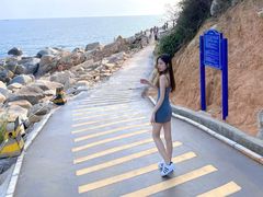 -广东惠东海龟国家级自然保护区