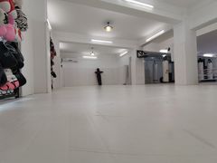 -威天下格斗柔术健身馆(红旗渠路店)