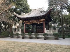 -汇龙潭