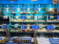 -海味当家·蒸锅海鲜(星海公园店)