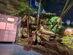 -太平洋海底世界