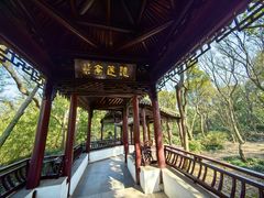 -上海佘山国家森林公园天马山园