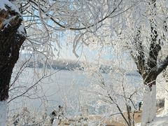 -雾凇岛