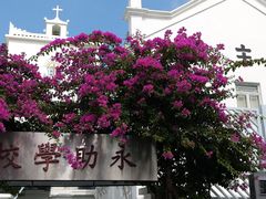 -大澳