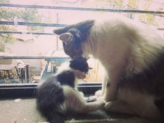 -五月木作·DIY木作文创体验店(北京路店)