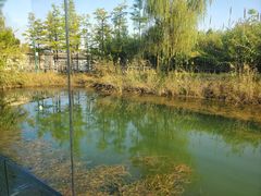 -上方山森林动物世界