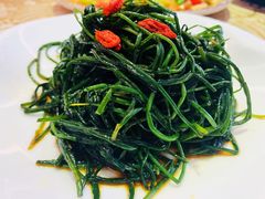 凉拌沙葱-新粤新疆菜清真餐厅(拱北店)