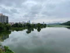 -月湖风景区