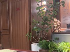 -前海沿·青岛菜(大拇指广场石老人店)