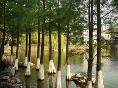 -东莞市可园博物馆