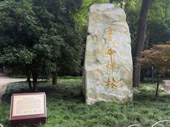 -灵谷景区