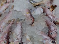 -健眺小海鲜(临海后山店)