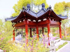 -南汇桃花村