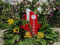 -东平国家森林公园
