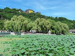 -北山公园