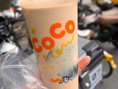 -CoCo都可(惠福店)