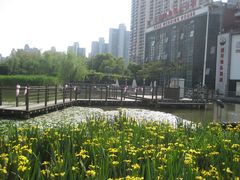 -苏州河梦清园环保主题公园