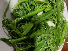 丝瓜尖-阿葉农家饭店