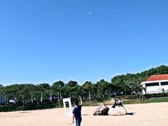 -碧海金沙