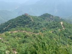 -大岭沟猕猴桃谷风景区