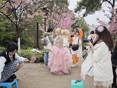 -南山植物园