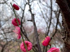 -上海滴水湖皇冠假日酒店