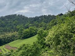 -敬亭山风景名胜区