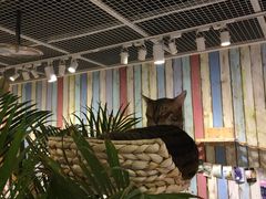 -小时光咖啡馆(开森度假森林店)