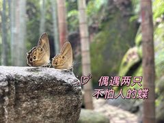 -径山寺