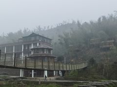 -羊楼洞