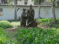 菜地-陈白沙纪念馆