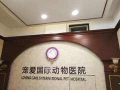 -宠爱国际动物医院· 猫科· 外科·中兽医(长白店)