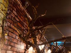 -MAX伯爵趣味互动密室逃脱(大坪D馆店)
