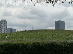 -光明小镇欢乐田园