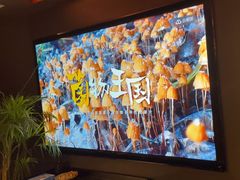 -滇野云南野生菌餐厅(陕西南路店)