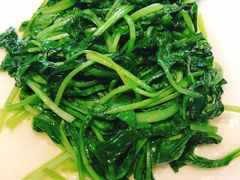 清炒鸡毛菜-19号私房菜(云南路店)