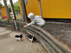 -前小桔亲子创意农场·草莓采摘·露营烧烤