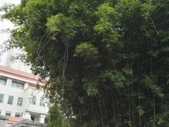 -云南省图书馆