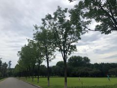 -奥林匹克森林公园南门-停车场