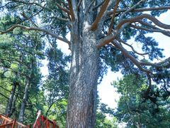 -终南山南五台景区