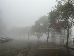 -广州市石门国家森林公园