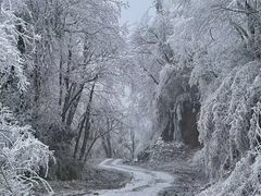 -峨眉山风景名胜区