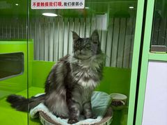 -唐小姐の猫狗洗护·购宠旗舰店(周浦万达店)