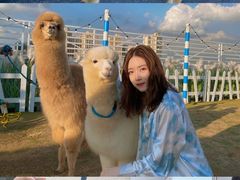 -Blue Concept Cafe&Farm·關於藍