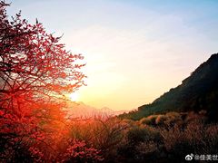 -福建天门山