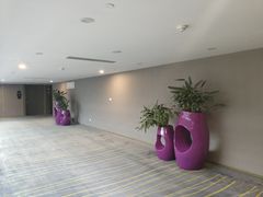 -南京禄口机场雅高铂尔曼大酒店