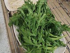 -蜀皇·菌汤鲜黄牛肉汤锅(宽窄巷子店)