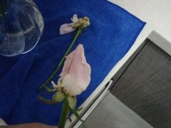 -循礼门鲜花花市(武汉循礼门店)