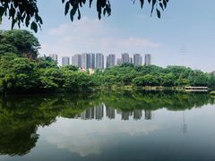 -重庆彩云湖湿地公园